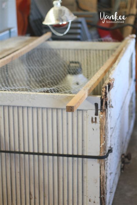 Brooding Pen 的图像结果