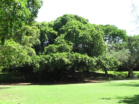 The Parks Department: Merrie Christmas Park