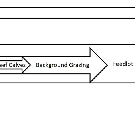 Image result for Beef Processing Flow Chart