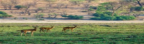 Zimbabwe Holiday Packages
