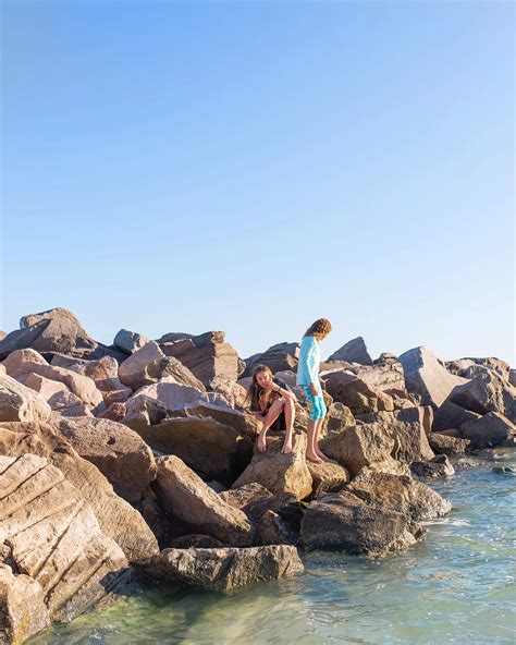 Image result for Shell Hunting Shell Island Panama