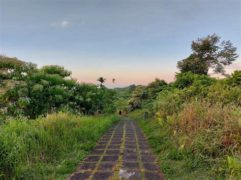 The Campuhan Ridge Walk in Bali: A Whole Guide