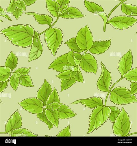 Image result for Peppermint Printable Pattern
