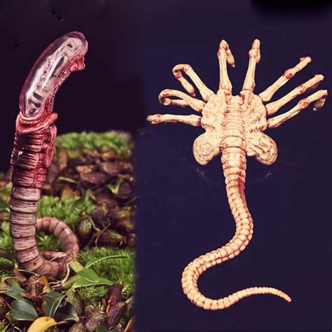 Image result for Alien vs Predator Minecraft Facehugger