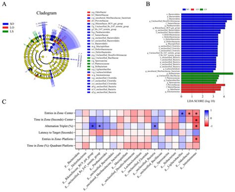 A Mixture of Soybean Oil and Lard Alleviates Postpartum Cognitive ...