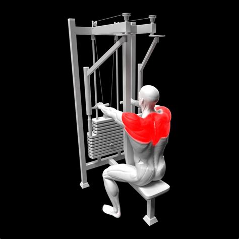 Image result for Back Fly Machine