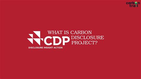 What is the CDP? | Carbon Disclosure Project Explained - Carbon Trail