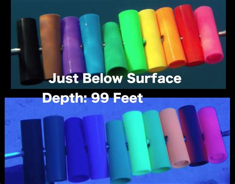 How do colors change as you go deeper in the ocean? | The Kid Should ...