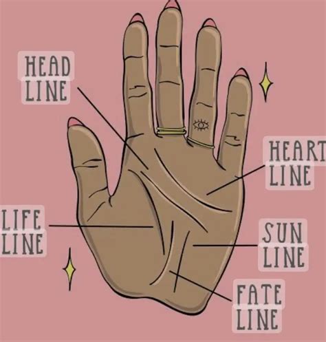 Image result for Palm Read