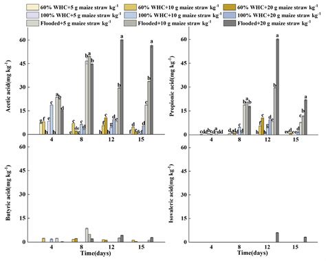 Efficiency of Reductive Soil Disinfestation Affected by Soil Water ...