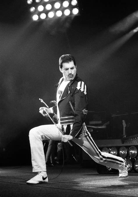 freddie mercury samba shoes