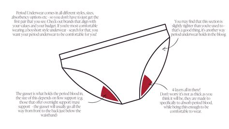 How Do Period Underwear Work at Troy Musselman blog