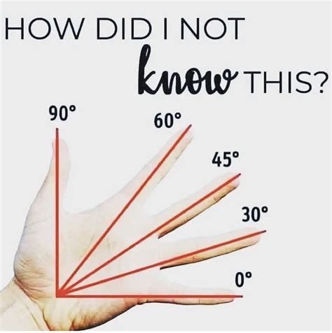 Pin by Annemarie Wilkinson on Hair | Hair cutting techniques, Life ...