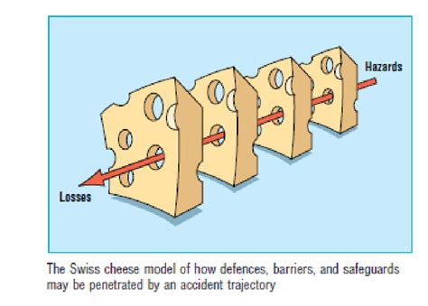Reason. Model 的图像结果