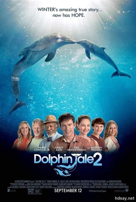 海豚的故事2.DolphinTale2.2014.1080P.Bluray.X265.国英双语双字.[2.19G]-HDSay高清乐园