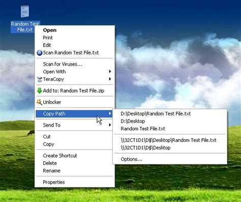 Image result for How to Copy a File Link Path