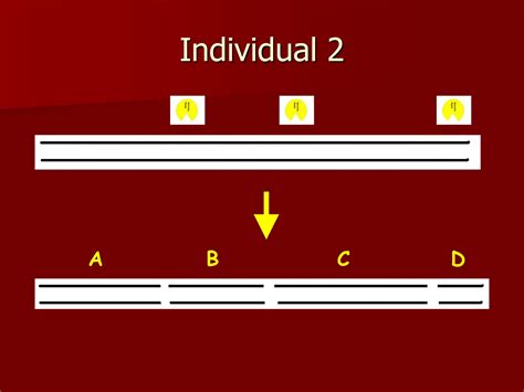 Image result for DNA Fingerprinting Graph