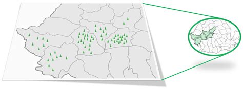 Identifying and Mapping Ticks on Wild Boars from Romania