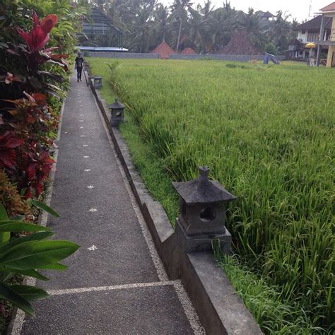 PUJI BUNGALOW (Ubud, Bali) - Inn Reviews & Photos - Tripadvisor