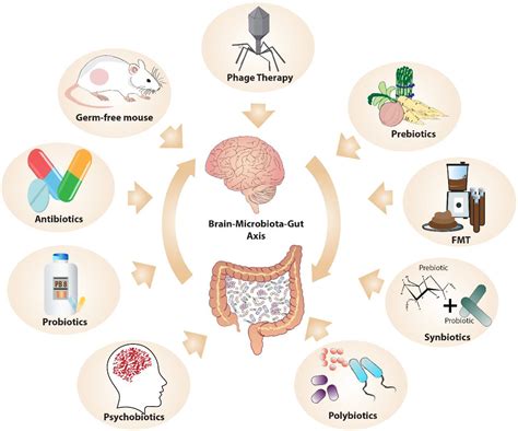 Gut Microbiota Worldwatch, the Largest Information Ecosystem about Gut ...