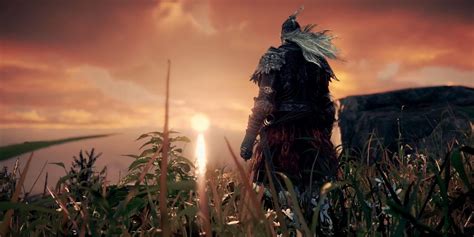 Image result for Exploding Frogs Elden Ring