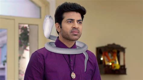 Watch Kya Haal, Mr. Paanchal S6 Episode 154 on JioHotstar