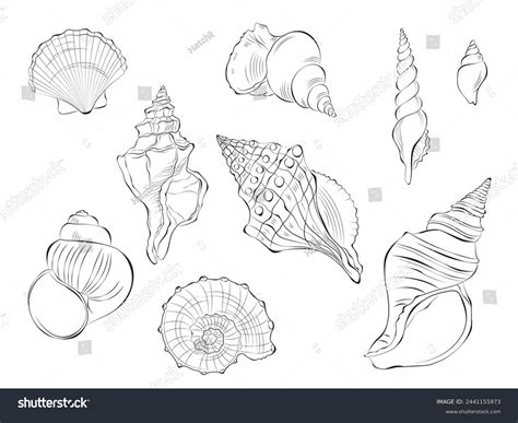 Image result for Shell Outline Printable