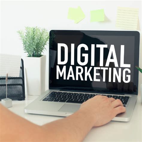 Netri Infosoft - Digital Marketing & Web Solutions in Surat