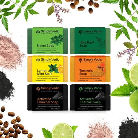 Simply Vedic 6-Set Herbal Soap Bar of Neem, Holy Basil, Lemon Mint ...