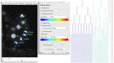 Image result for Manual Tracking ImageJ