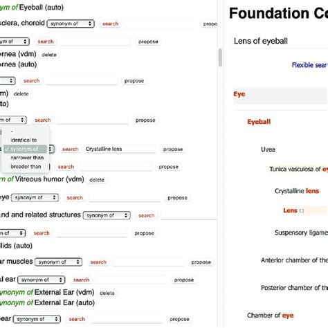 Image result for ICF Body Structure and Function