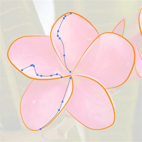 Image result for How to Draw Using Illustrator