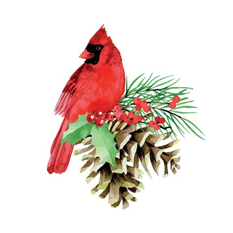 Cardinal In Winter Drawing