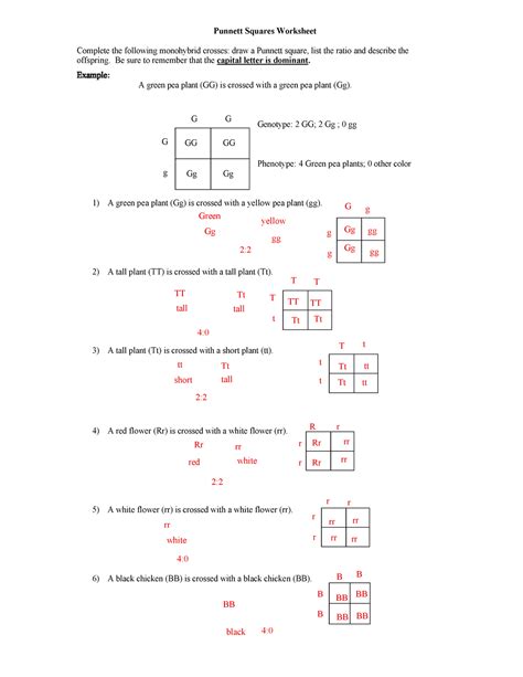 Free monohybrid cross worksheet, Download Free monohybrid cross ...