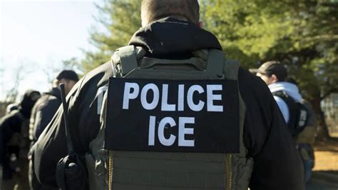 Franklin Park Shooting: ICE Agent Fatally Shoots Man After Being ...