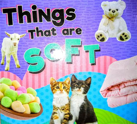 Amazon.com: Things That are Soft Children's Board Book : Books