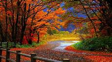 High Resolution Fall Backgrounds Laptop by Autumn Wallpaper Widescreen 183 Free Amazing High High Resolution Fall Backgrounds Laptop