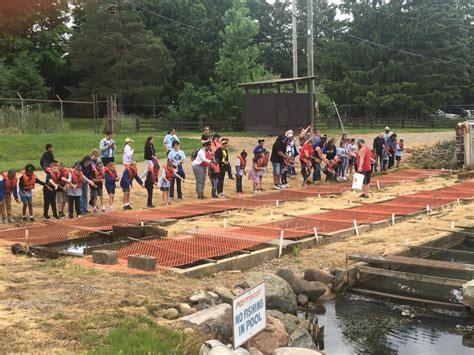 Image result for Spring Run Trout Farm