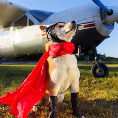 Fur Fest 2025 - Espanola Humane