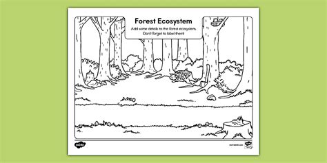 Image result for Tools Equpment in Computer Programming