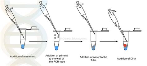 How Is PCR Test Done 的图像结果