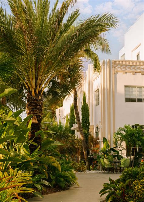 Sharing a few of my FAVORITE images I photographed for Sonder The Deco ...