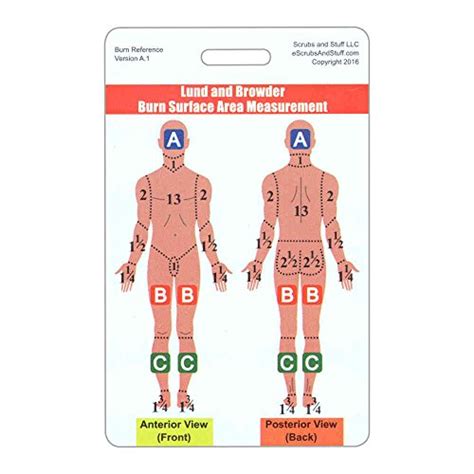 Scrubs and Stuff LLC Lund and Browder Burn Chart Vertical Badge ...