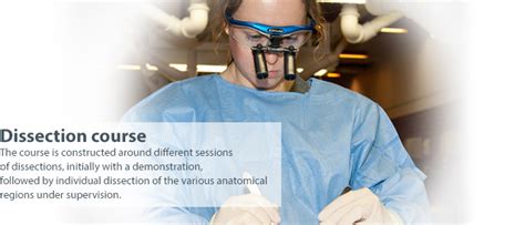 Image result for Hand Dissection