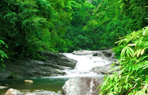 Ponmudi Hill Station - Top Things To Do in Ponmudi Hills, Kerala | IndusGo