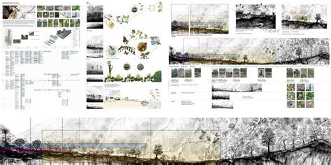 Symbiosis of insects and plants | CEPT - Portfolio