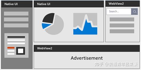 Webview2 Enable JavaScript 的图像结果