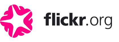 What Is Flickr 的图像结果