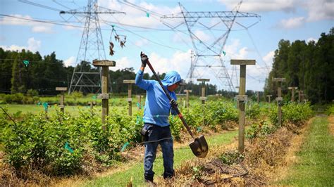 Duke sues to eject Starkey Market activities from power line property