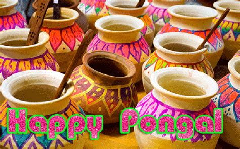 Happy Sankranthi (Pongal) Wallpapers and History of Pongal ~ Discover ...